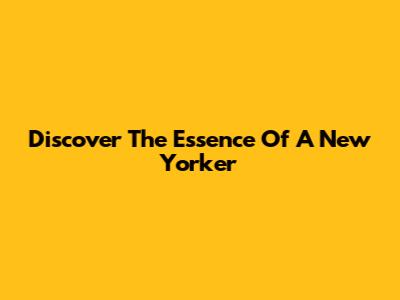 Discover The Essence Of A New Yorker