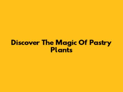 Discover The Magic Of Pastry Plants