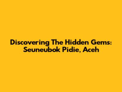 Discovering The Hidden Gems: Seuneubok Pidie, Aceh