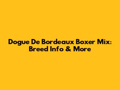 Dogue De Bordeaux Boxer Mix: Breed Info & More