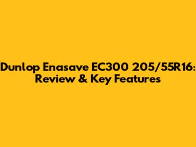 Dunlop Enasave EC300 205/55R16: Review & Key Features
