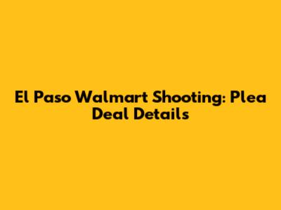 El Paso Walmart Shooting: Plea Deal Details