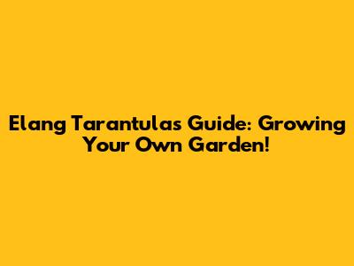 Elang Tarantula's Guide: Growing Your Own Garden!