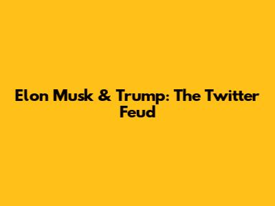 Elon Musk & Trump: The Twitter Feud