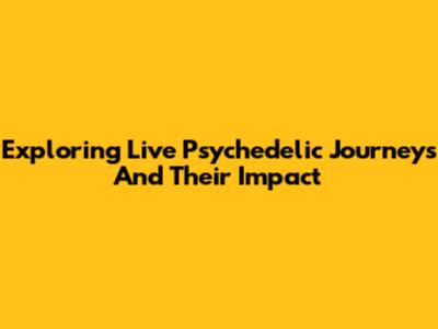 Exploring Live Psychedelic Journeys And Their Impact