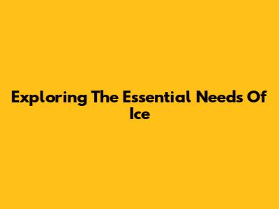 Exploring The Essential Needs Of Ice