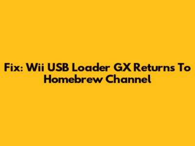 Fix: Wii USB Loader GX Returns To Homebrew Channel