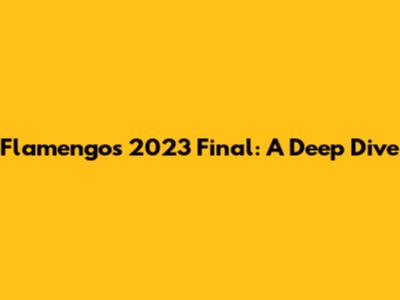 Flamengo's 2023 Final: A Deep Dive