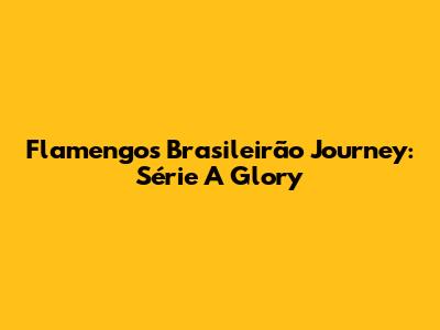 Flamengo's Brasileirão Journey: Série A Glory