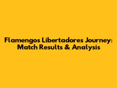 Flamengo's Libertadores Journey: Match Results & Analysis