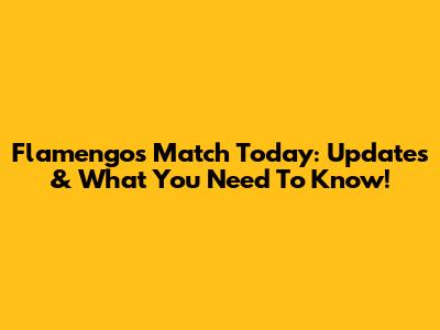 Flamengo's Match Today: Updates & What You Need To Know!