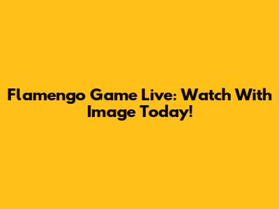 Flamengo Game Live: Watch With Image Today!