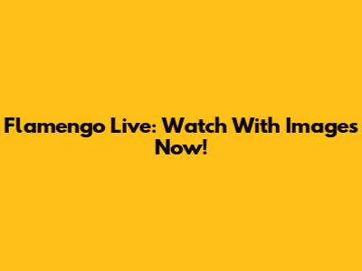 Flamengo Live: Watch With Images Now!