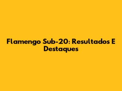 Flamengo Sub-20: Resultados E Destaques