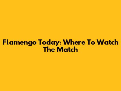 Flamengo Today: Where To Watch The Match