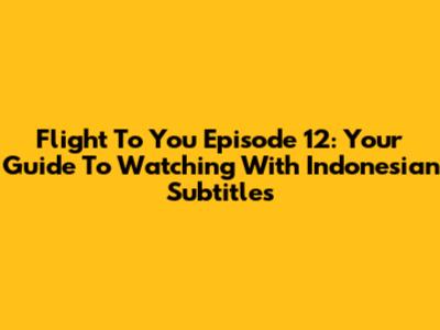 Flight To You Episode 12: Your Guide To Watching With Indonesian Subtitles