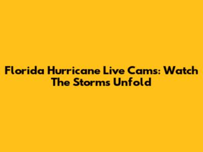 Florida Hurricane Live Cams: Watch The Storms Unfold
