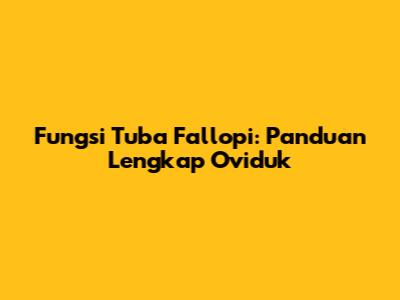 Fungsi Tuba Fallopi: Panduan Lengkap Oviduk