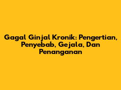 Gagal Ginjal Kronik: Pengertian, Penyebab, Gejala, Dan Penanganan