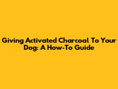 Giving Activated Charcoal To Your Dog: A How-To Guide