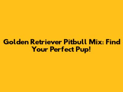 Golden Retriever Pitbull Mix: Find Your Perfect Pup!