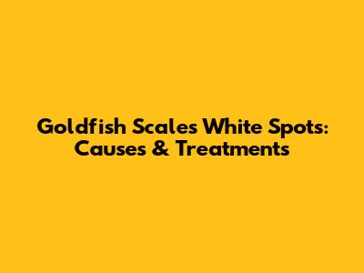 Goldfish Scales White Spots: Causes & Treatments