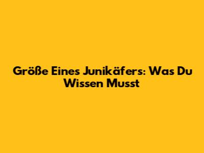 Größe Eines Junikäfers: Was Du Wissen Musst