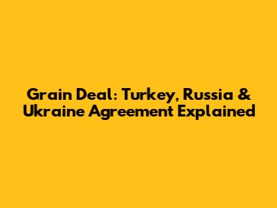 Grain Deal: Turkey, Russia & Ukraine Agreement Explained