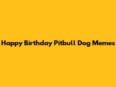 Happy Birthday Pitbull Dog Memes