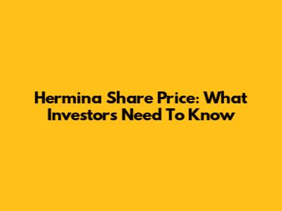 Hermina Share Price: What Investors Need To Know