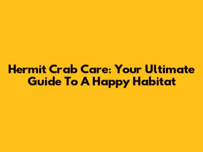 Hermit Crab Care: Your Ultimate Guide To A Happy Habitat