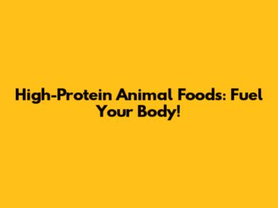 High-Protein Animal Foods: Fuel Your Body!