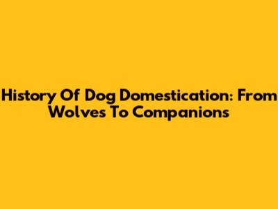 History Of Dog Domestication: From Wolves To Companions