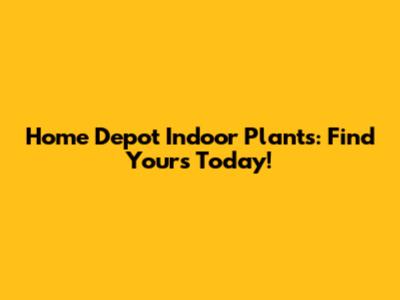 Home Depot Indoor Plants: Find Yours Today!