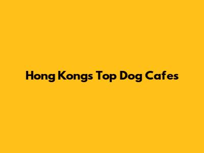 Hong Kong's Top Dog Cafes