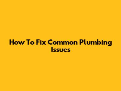 How To Fix Common Plumbing Issues