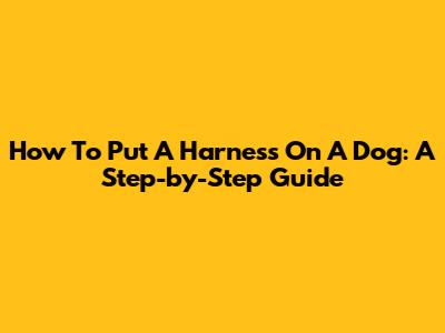 How To Put A Harness On A Dog: A Step-by-Step Guide