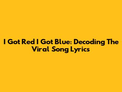 I Got Red I Got Blue: Decoding The Viral Song Lyrics