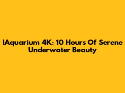 IAquarium 4K: 10 Hours Of Serene Underwater Beauty