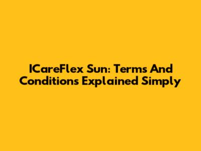 ICareFlex Sun: Terms And Conditions Explained Simply