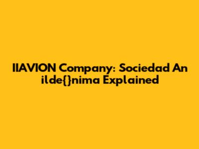 IIAVION Company: Sociedad An	ilde{}nima Explained