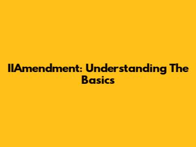 IIAmendment: Understanding The Basics