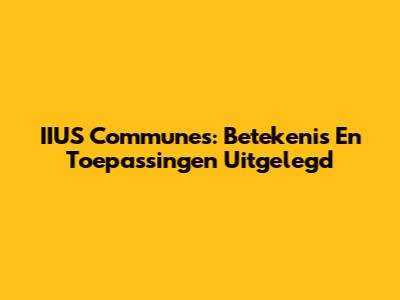 IIUS Communes: Betekenis En Toepassingen Uitgelegd