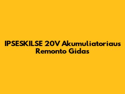 IPSESKILSE 20V Akumuliatoriaus Remonto Gidas