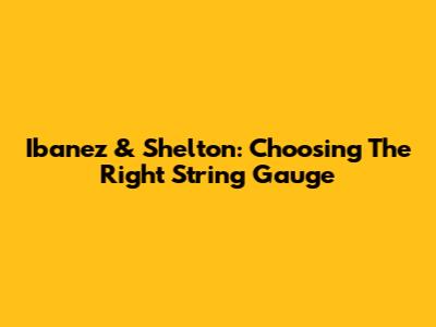 Ibanez & Shelton: Choosing The Right String Gauge