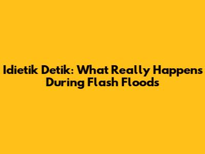 Idietik Detik: What Really Happens During Flash Floods