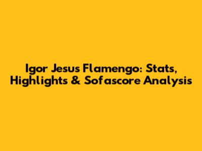 Igor Jesus Flamengo: Stats, Highlights & Sofascore Analysis