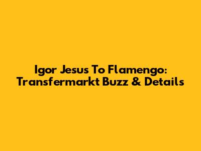 Igor Jesus To Flamengo: Transfermarkt Buzz & Details