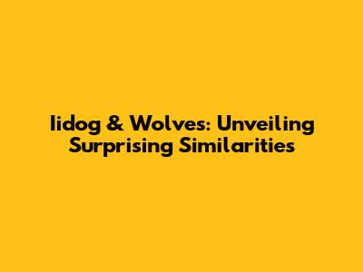 Iidog & Wolves: Unveiling Surprising Similarities