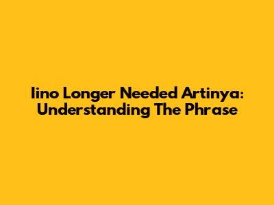 Iino Longer Needed Artinya: Understanding The Phrase